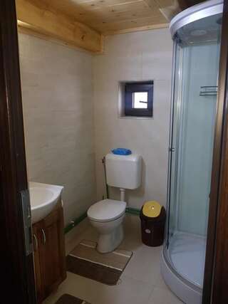 Отели типа «постель и завтрак» Tulean Cabin Săcel Четырехместный номер с общей ванной комнатой-21